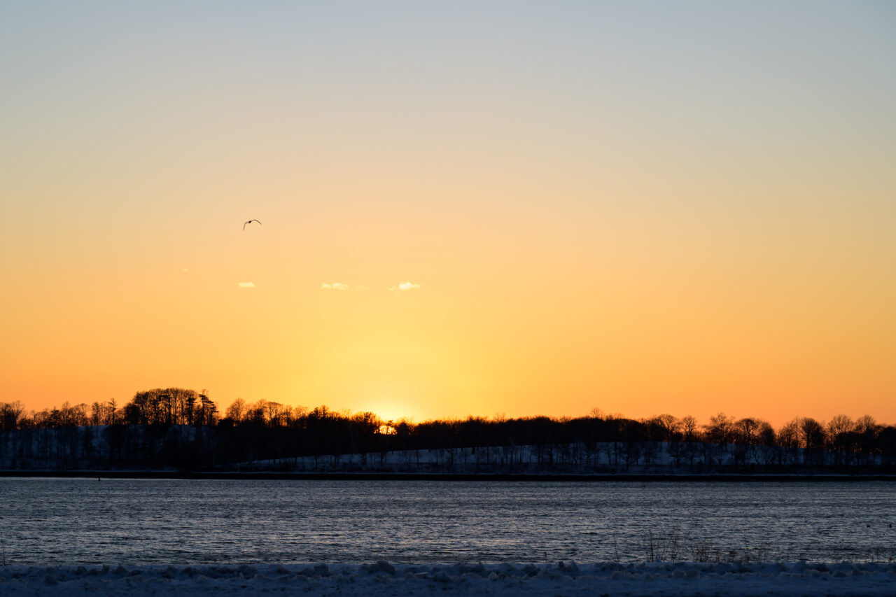 The hills of World’s End Reservation against a vibrant orange sunset sky as a lone bird flies past.