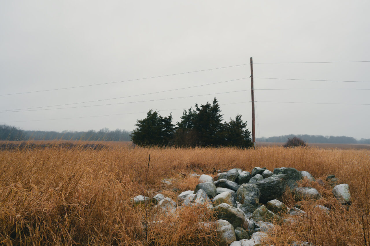 Grey lichen-covered boulders in tall grass at Daniel Webster Wildlife Sanctuary under hazy winter skies.