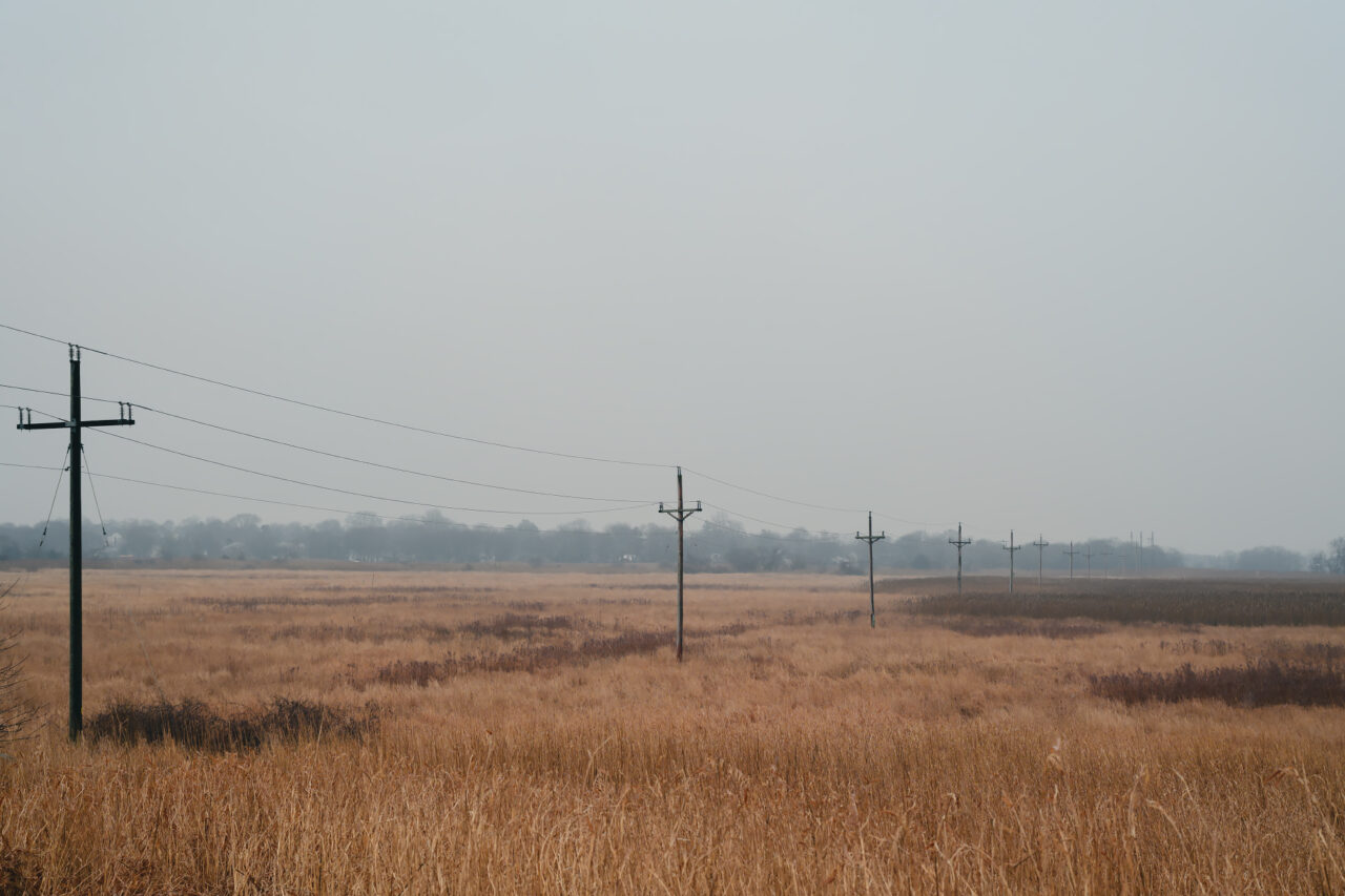 Utility poles crossing a golden field at Daniel Webster Wildlife Sanctuary under misty winter skies.
