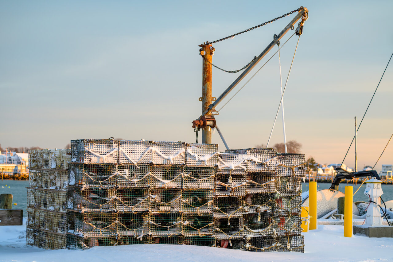 Lobster traps buried under heavy blizzard snow on a Scituate pier.
