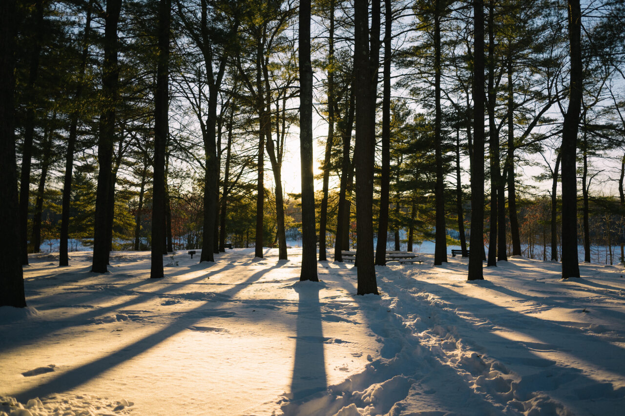 Long shadows from the trees stretch across the snow at Ames Nowell State Park.