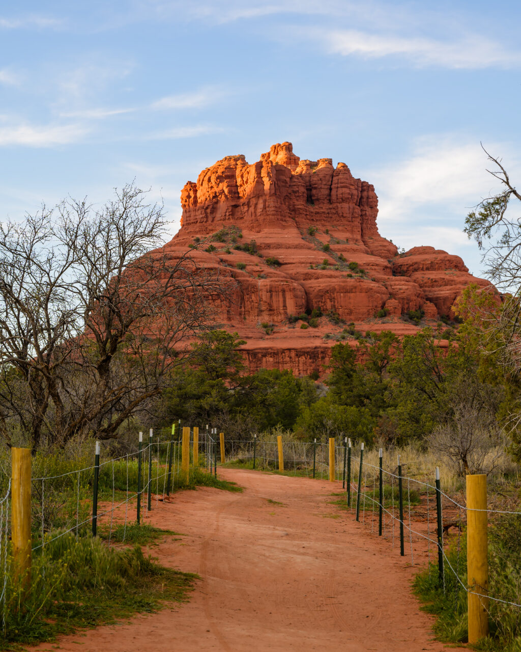 The red dirt path leading toward Bell Rock from the Village of Oak Creek trailhead.