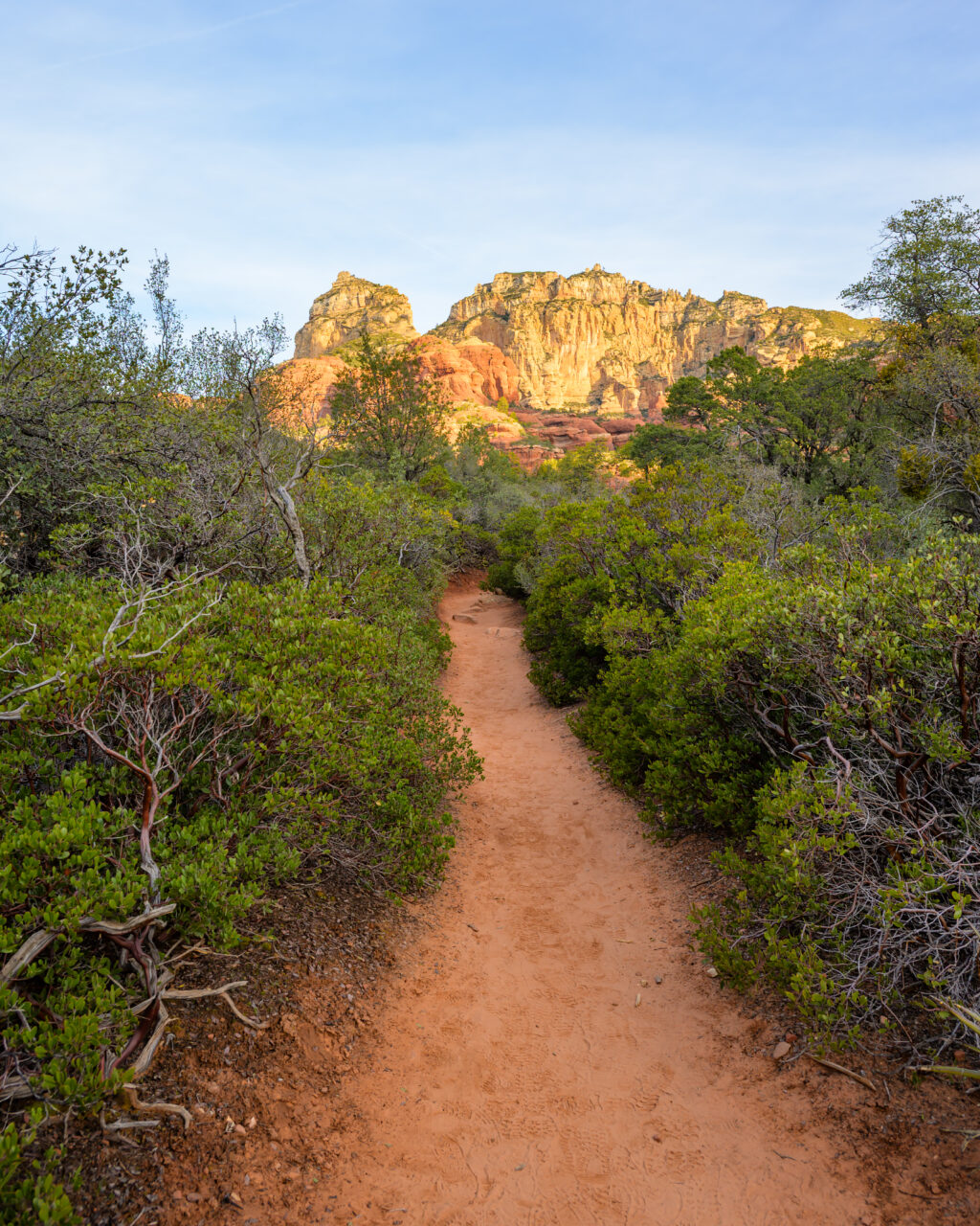 A red dirt trail winding through the trees in Boynton Canyon leading toward Subway Cave in Sedona, Arizona.