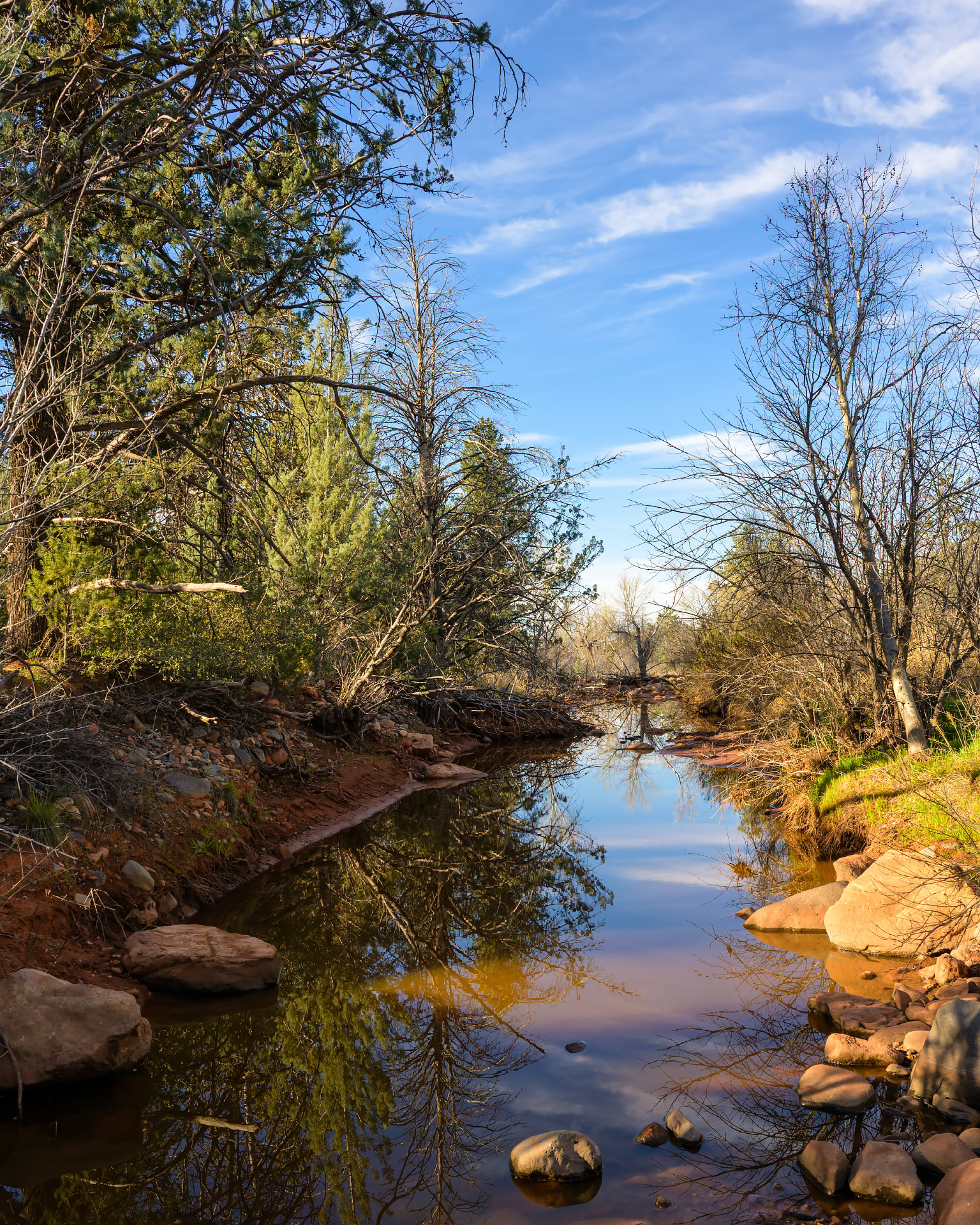 Dry Creek reflection at sunrise near Devil's Bridge trailhead.