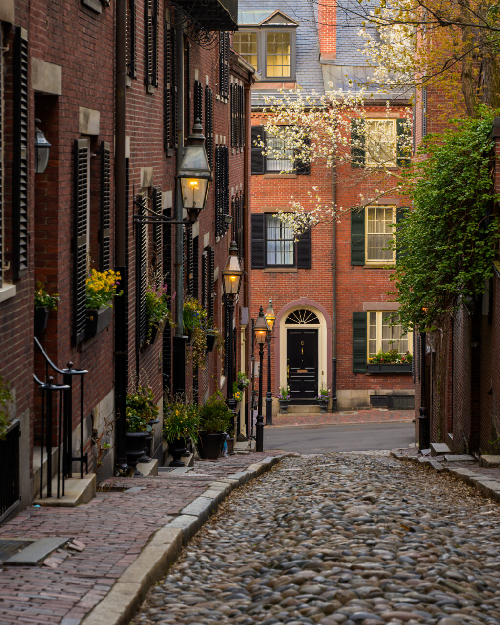 Acorn Street in Beacon Hill with cobblestones, gas lanterns and spring blossoms.
