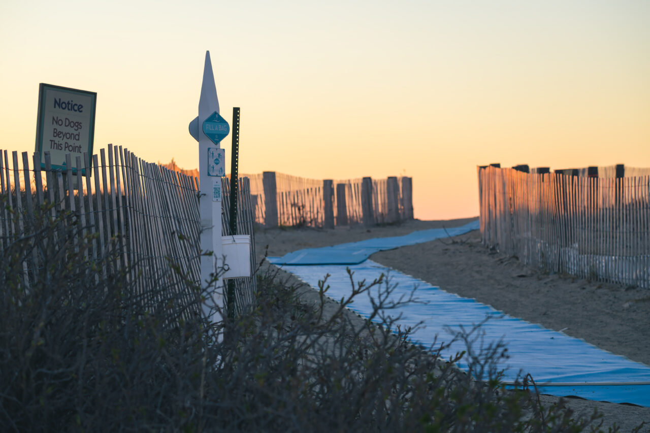 Beach entrance path at Duxbury Beach flanked by snow fencing at sunrise.