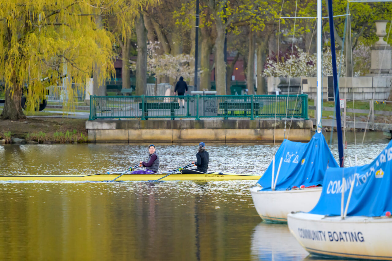 Two rowers in a scull on the Charles River near the Longfellow Bridge alongside Community Boating sailboats.