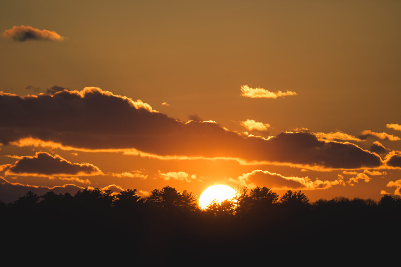 Sunset over the tree line at Damon's Point, Marshfield.