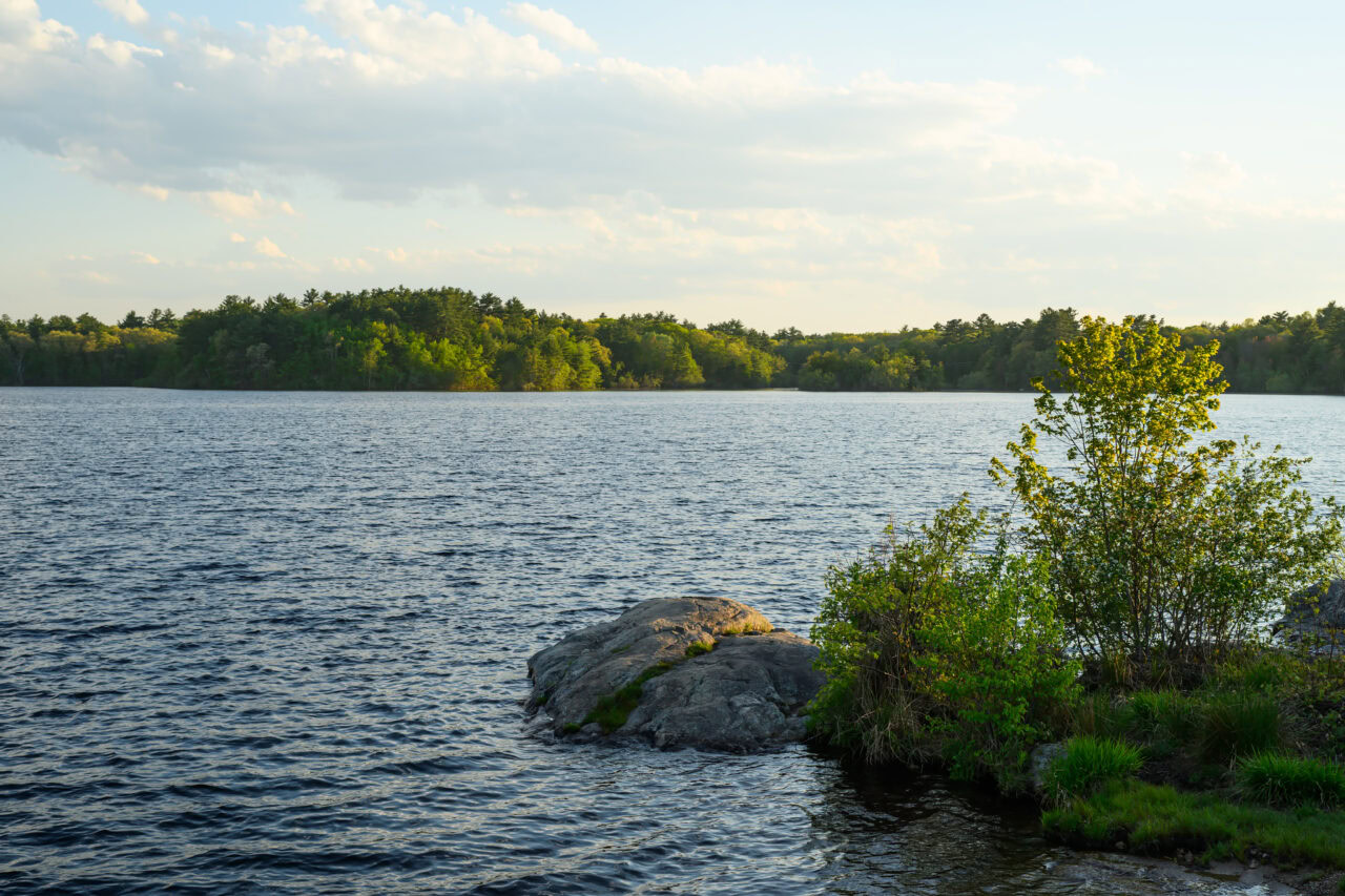 Late Afternoon at Aaron River Reservoir