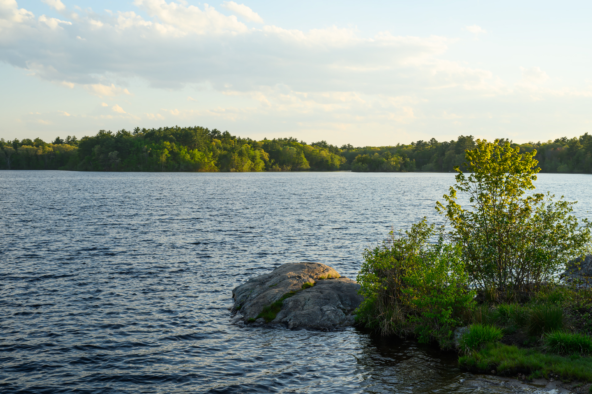 Late Afternoon at Aaron River Reservoir