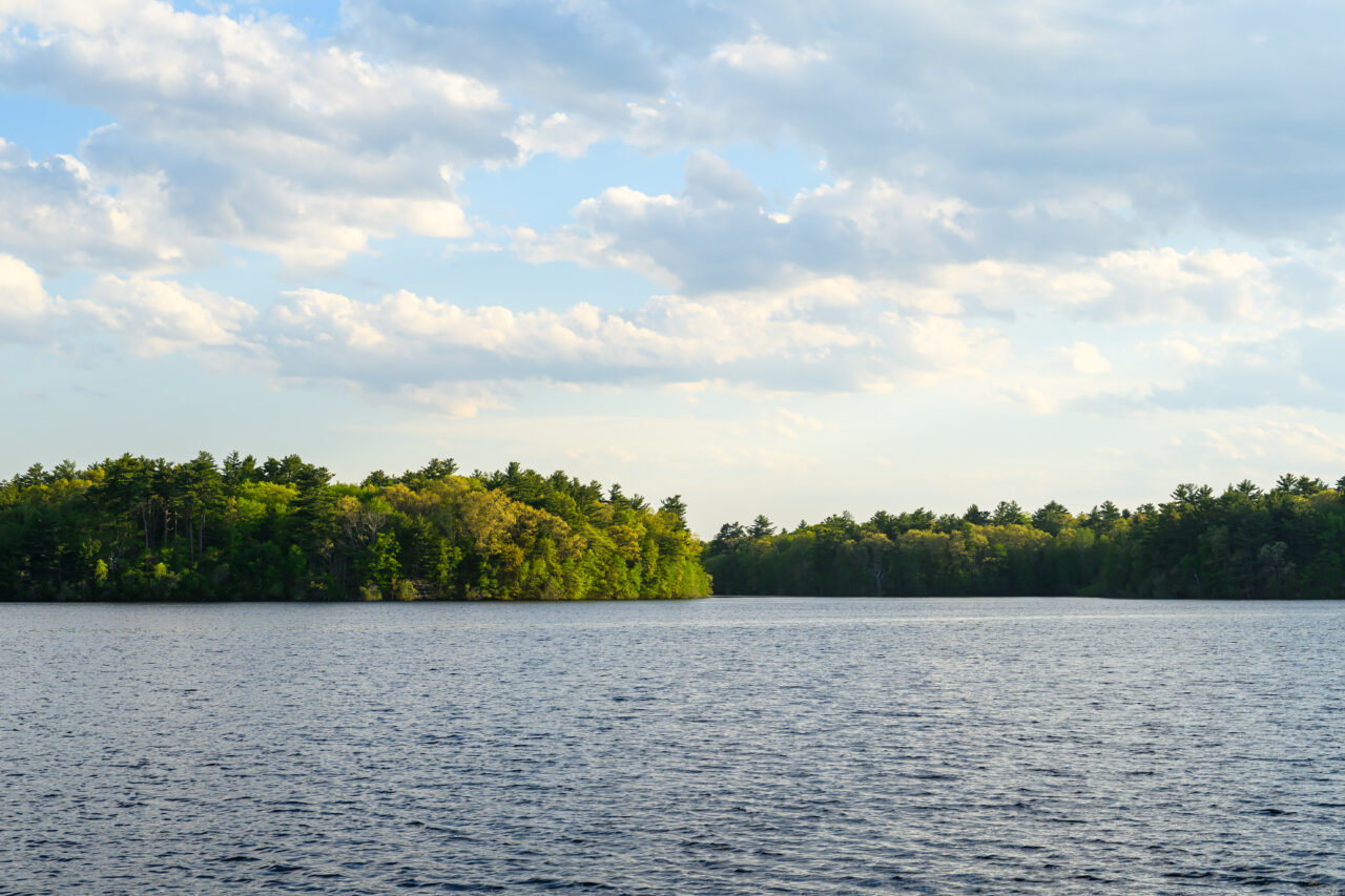 A wide view across Aaron River Reservoir toward a densely wooded far shore lit by late afternoon sun.