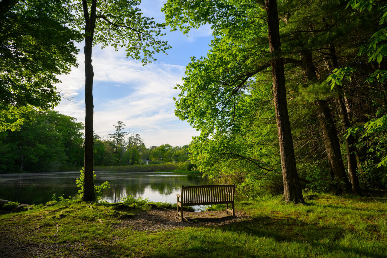 Afternoon at Norris Reservation in Norwell