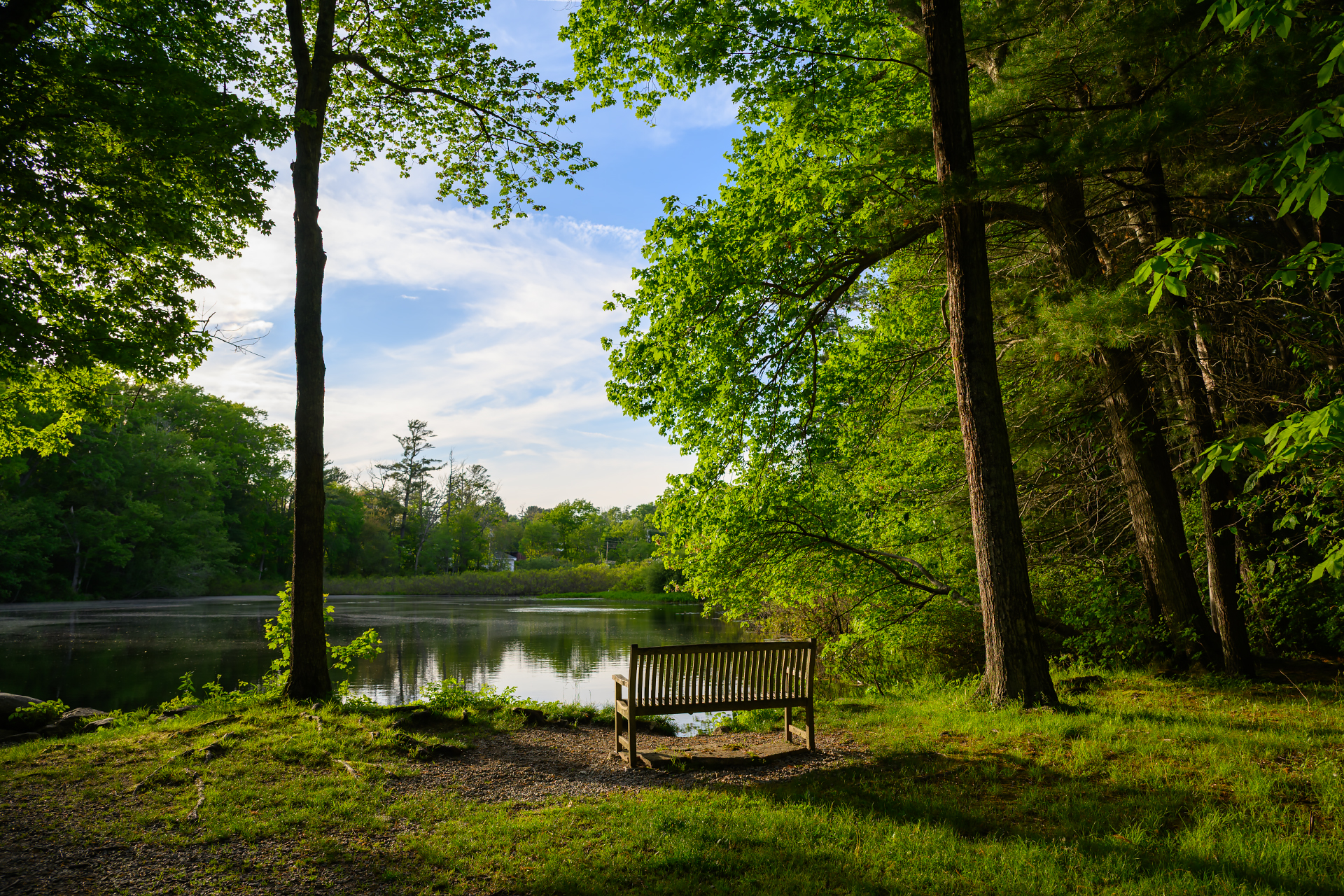 Afternoon at Norris Reservation in Norwell