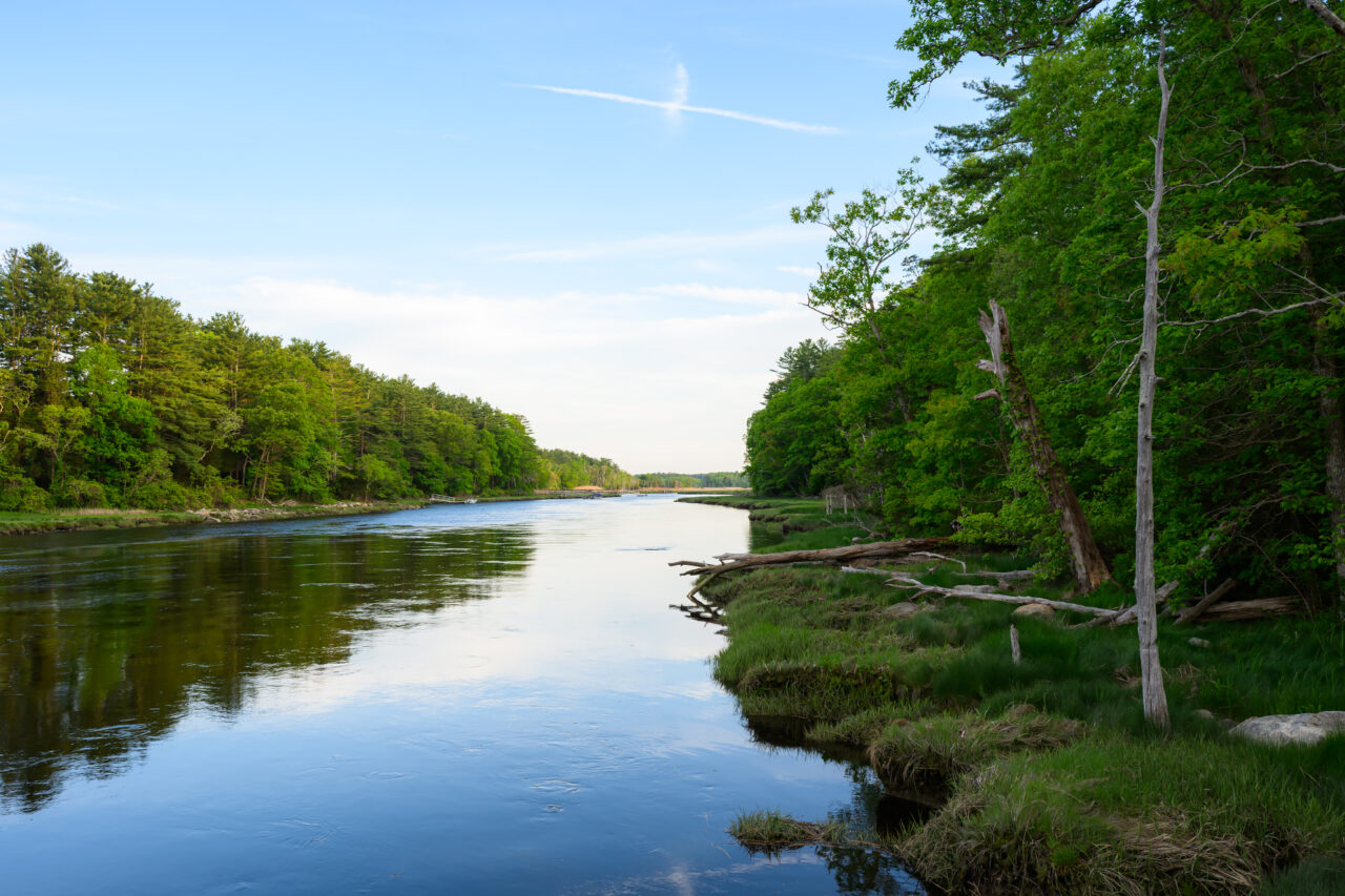 Looking down the wide, blue waters of the scenic North River as it cuts past green forests at Norris Reservation in Norwell.