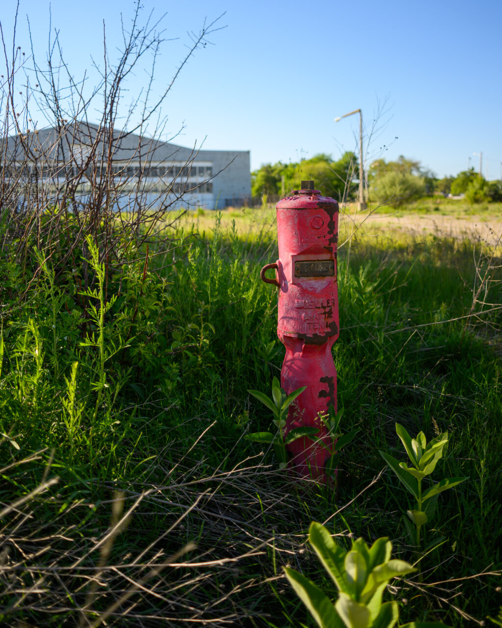 Overgrown red fire hydrant at South Weymouth Naval Air Station.