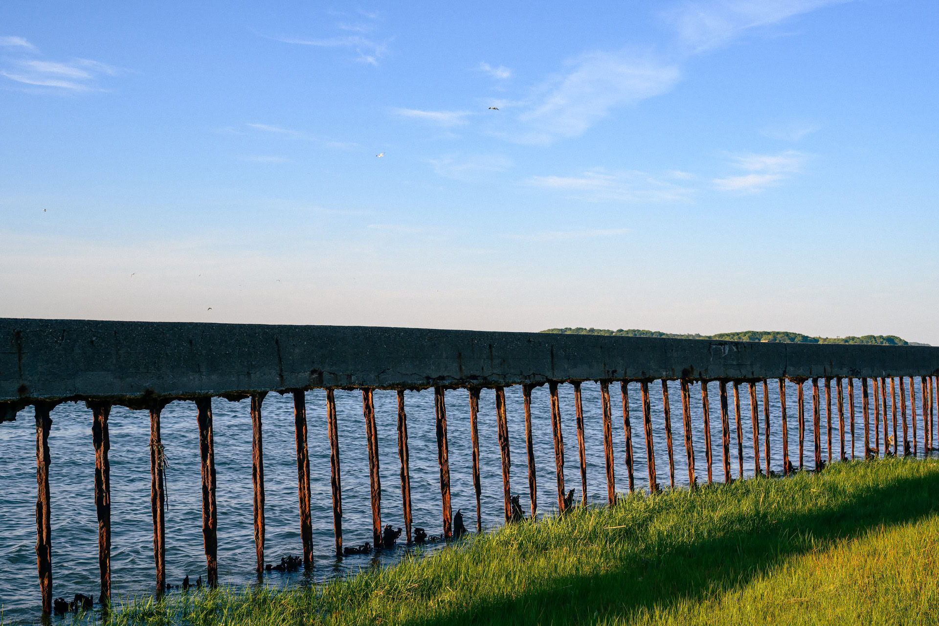 Deteriorating concrete seawall with exposed rusted rebar pilings along the shoreline at Squantum Point Park in Quincy, Massachusetts.