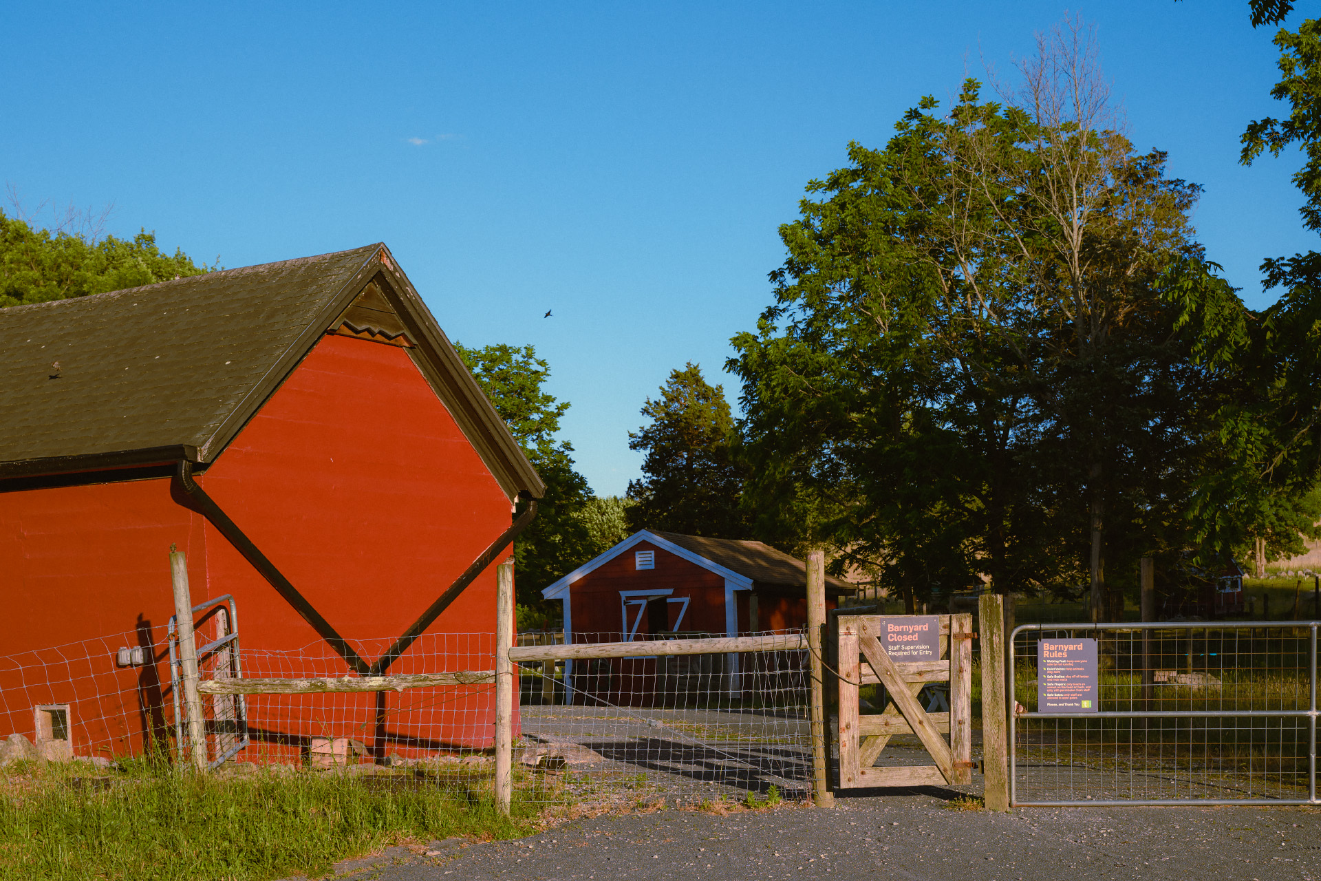 Weir River Farm barnyard gate with red barn and small outbuilding beyond.
