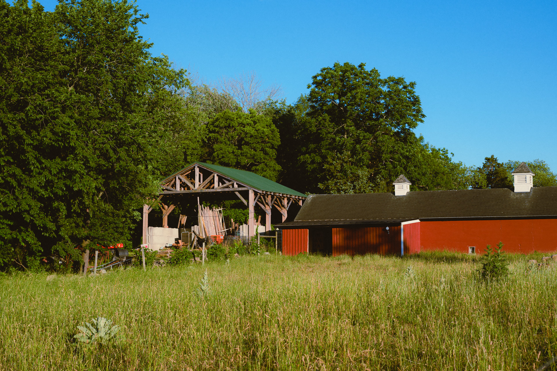 Timber frame open shed and red barn at Weir River Farm in summer, Hingham MA.